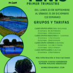 [Deportes] Escuelas deportivas – TENIS